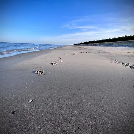 White Pearl Gamma Budynek *