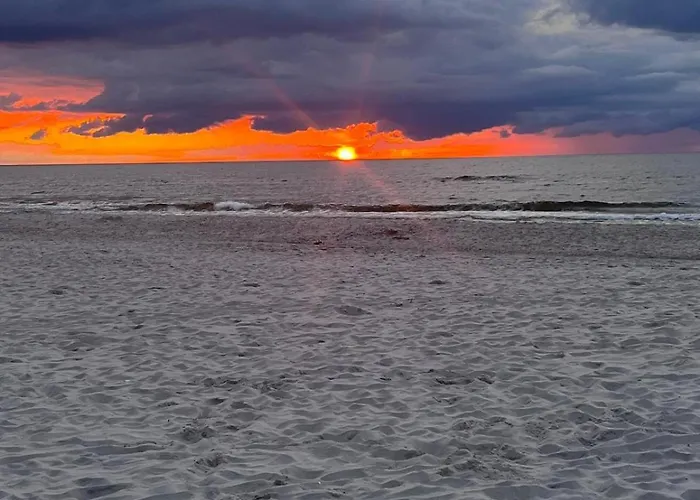 White Pearl Gamma Budynek * 洛格沃