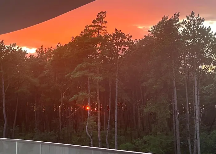 White Pearl Gamma Budynek 公寓 洛格沃